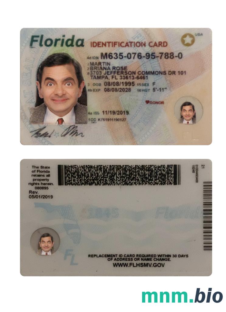 Przykład karty identyfikacyjnej stanu Floryda (USA) w formacie PSD, w pełni edytowalny